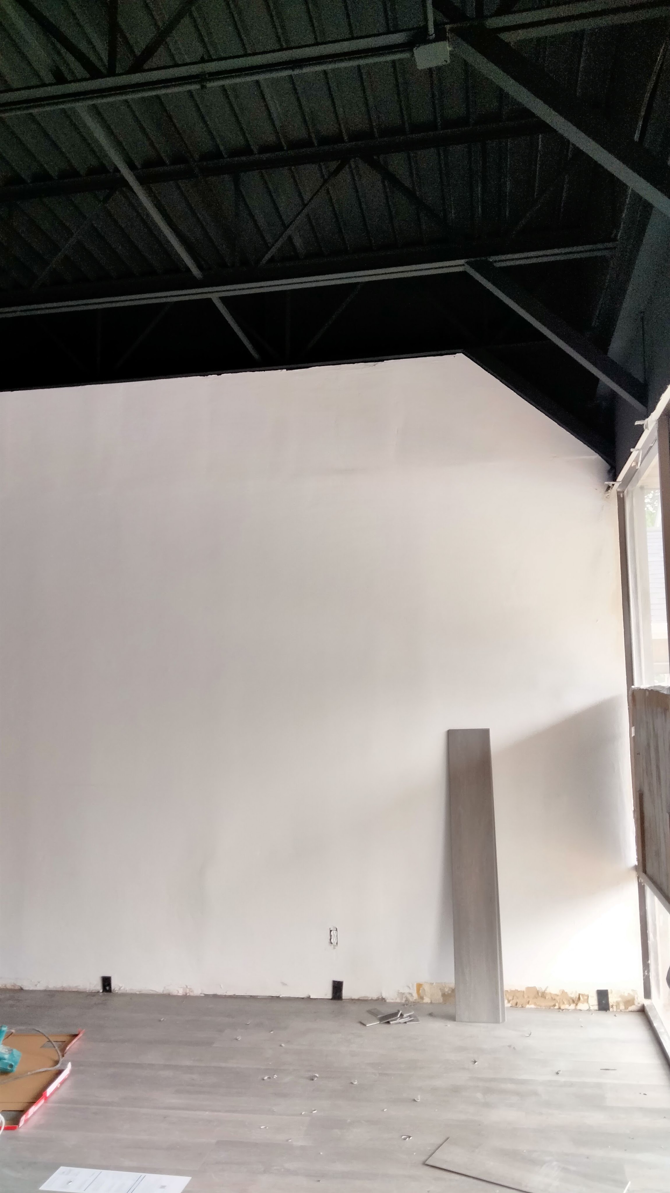 latest interior painting project, walls in white, ceilings in all black side b